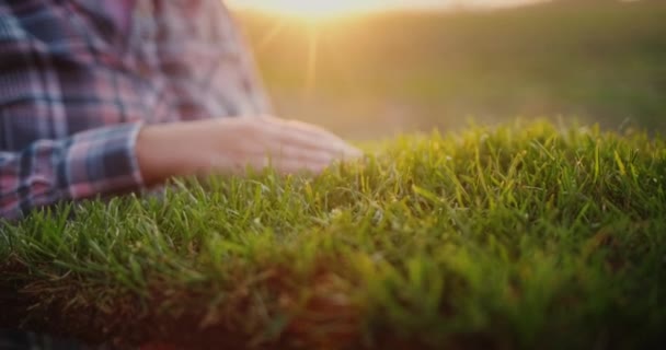 The hand of a female farmer touches a piece of land where green grass grows — Vídeo de Stock