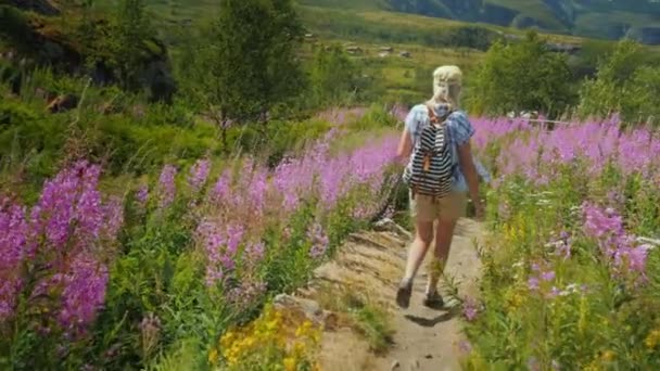 Back view of A woman with a backpack walks along a picturesque path among the flowers of willow-tea. — Stockvideo