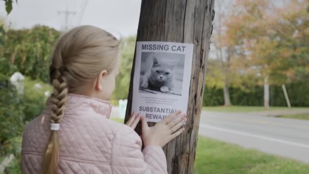 Una chica adjunta un anuncio sobre un gato desaparecido a un poste — Vídeos de Stock