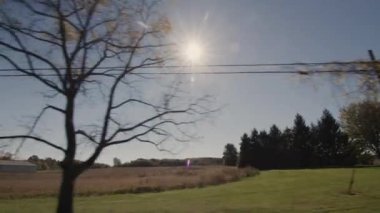 Güneş ağaçların arasından parlıyor, yol boyunca tarlaları aydınlatıyor. Sürücü bir arabanın penceresinden güzel bir manzara - ABD 'de bir tarım alanı manzarası.