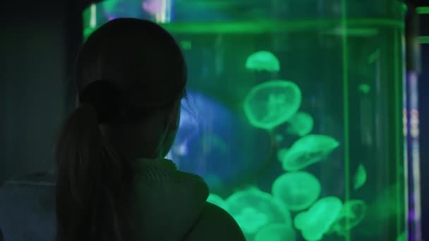 Bir çocuk akvaryumdaki denizanasına bakar. — Stok video