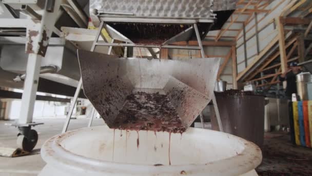 Le materie prime per la fabbricazione del vino vengono alimentate attraverso lo scivolo in una grande botte. Lavora in una piccola cantina di famiglia. 4k video — Video Stock