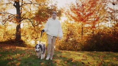 Sahibi köpeğiyle yürür, evcil hayvan onun yanında tasmayla yürür. Steadicam takip atışı