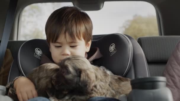 Aziatisch kind rijdt een kind autostoeltje, naast hem zijn verschillende puppies. — Stockvideo