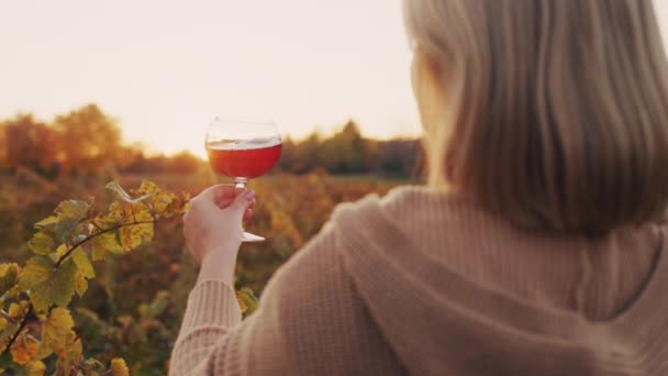 Una mujer con una copa de vino tinto en la mano se para frente a un viñedo. Degustación de vinos al atardecer — Vídeo de stock