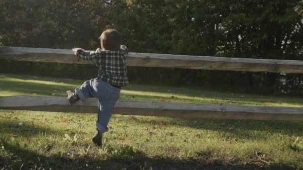 Двухлетний ребенок лезет на деревянный забор, веселится и активно проводит время в парке — стоковое видео