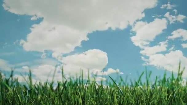 Hierba crece en el fondo de las nubes de movimiento rápido. Vídeo Timelapse — Vídeos de Stock