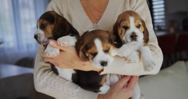 Sahibi iki sevimli köpek yavrusu besliyor.