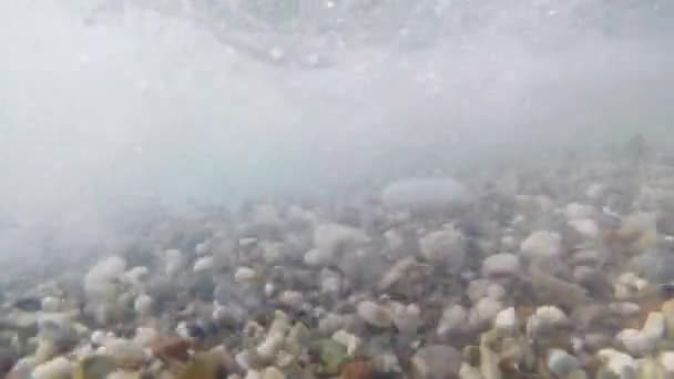 Piedras marinas de diferentes tamaños se balancean con el surf en diferentes direcciones. Disparos submarinos — Vídeos de Stock