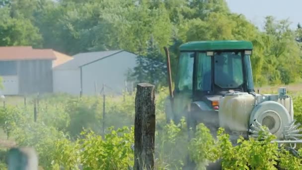Wilson, NY, USA, Juli 2019: Traktor besprengt Weinstock mit Herbiziden — Stockvideo