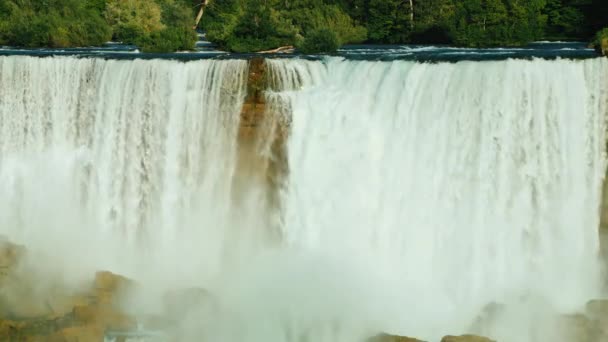 Amazing Niagara Falls and a green forest at the top where the Niagara River flows. Nature on the border of America and Canada — Stock Video