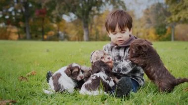 Şirin Asyalı bebek çimenlerde oturuyor, birkaç yavru köpekle oynuyor.