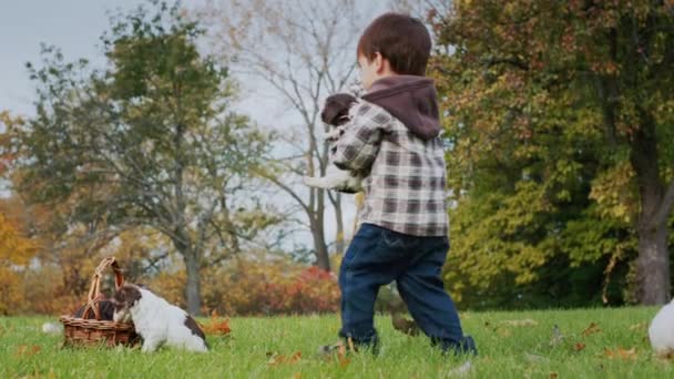 一个亚洲幼儿把一只小狗抱到篮子里.孩子们和宠物玩耍 — 图库视频影像
