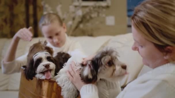 Madre e hija pasan tiempo juntas, jugando con pequeños cachorros en su casa — Vídeo de stock