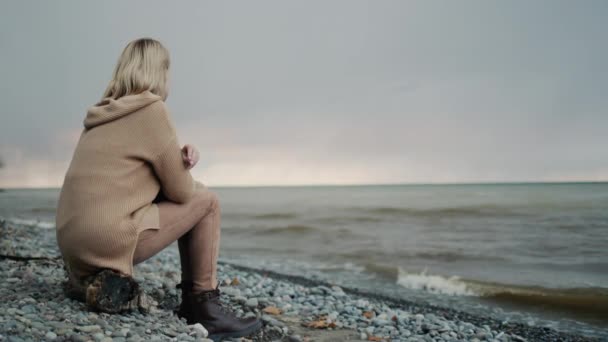 La vista dalla parte posteriore di una donna, ammirando il cielo tempestoso sopra il mare. Si siede sulla riva — Video Stock