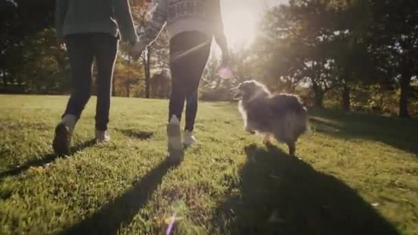 Mãe com filha e cão caminham no parque ao pôr do sol — Vídeo de Stock
