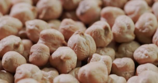 Detailní záběr: Zrna cizrny - zdravé přírodní krmivo — Stock video