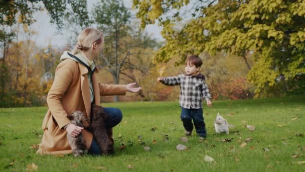 Bebé con mamá y cachorro jugando en el parque — Vídeo de stock