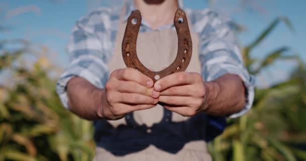Landmænd hænder viser en hest et symbol på held og lykke – Stock-video