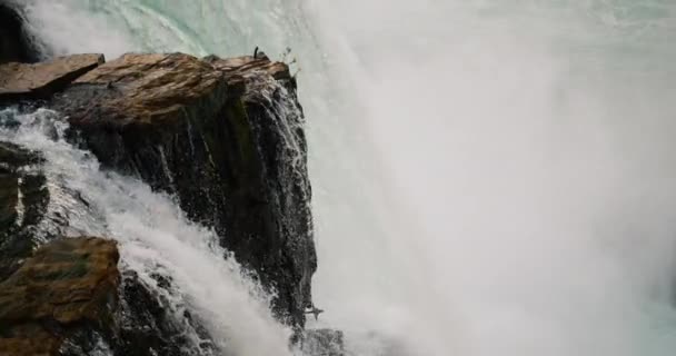 Η ροή του νερού στους καταρράκτες του Νιαγάρα προσπαθεί να συντρίψει τον βράχο που προεξέχει στο νερό. — Αρχείο Βίντεο