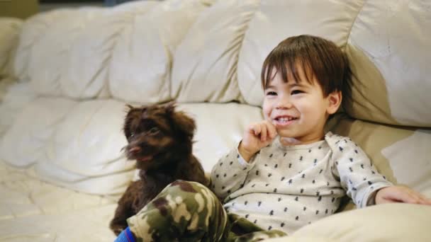 Uma criança de dois anos está realmente rindo, assistindo TV com um filhote de cachorro — Vídeo de Stock