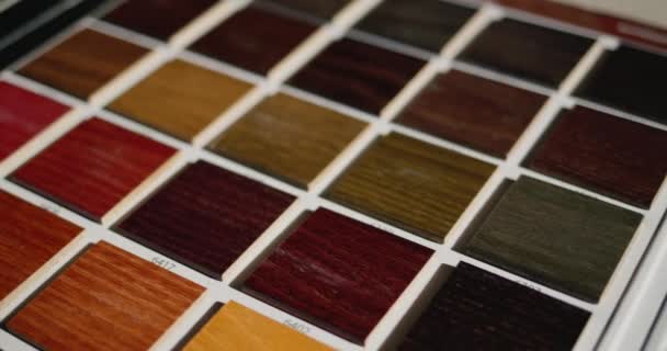 Dolly shot: Palett med målade träprover för att välja färgen på träprodukter. 4k-video — Stockvideo