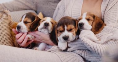 Bir aile evlerinin verandasında, ellerinde birkaç yavru köpek tutuyor.