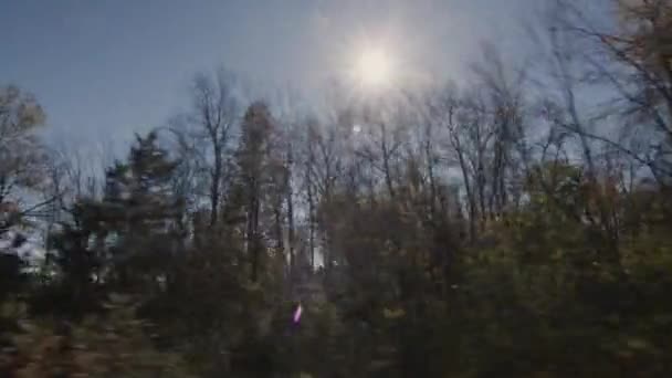 Guidare lungo la foresta, il sole splende attraverso gli alberi. Vista dal finestrino laterale dell'auto — Video Stock