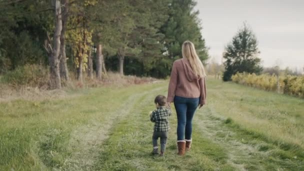 Anya és fia sétálnak a farmon, a baba almát eszik. — Stock videók