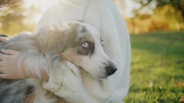 A child hugs and strokes his dog, sits in the park on the grass in the rays of the setting sun