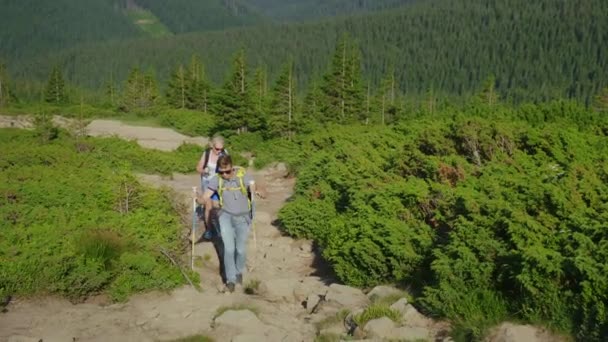 バックパック付きの旅行者のカップルが山道を登ります — ストック動画