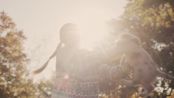 Ein glückliches Kind hält einen Welpen in den Händen und wirbelt in den Strahlen der untergehenden Sonne — Stockvideo