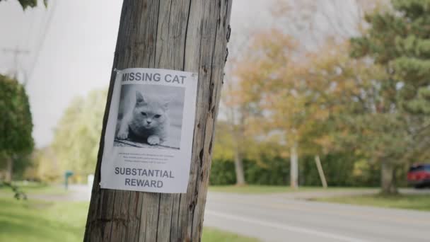 Ein Plakat mit Informationen über die vermisste Katze hängt an einer Stange am Straßenrand. — Stockvideo