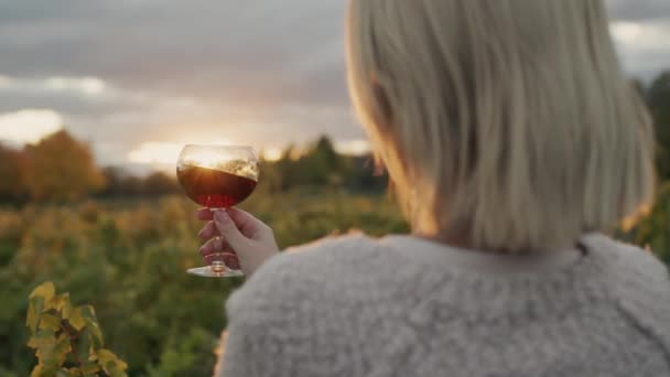 Widok z tyłu: Kobieta ze szklanką czerwonego wina w ręku stoi na tle winnicy, gdzie słońce pięknie zachodzi — Wideo stockowe