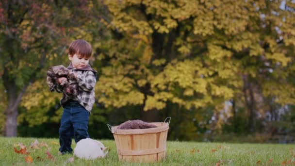 Asyalı bir çocuğun sepetine köpek yavrusu koyduğu komik bir video. Parkta oynar — Stok video
