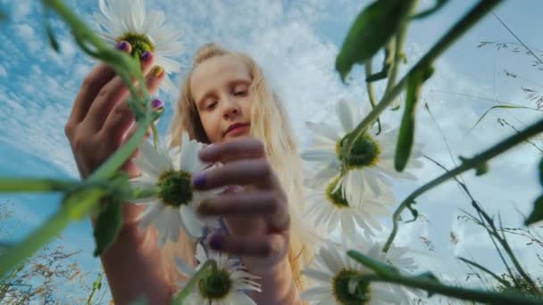 Happy Child admires wildflowers. Low angle shot — Vídeos de Stock