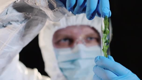 Portrait of a researcher, looking closely at a test tube with a green plant — Vídeo de stock
