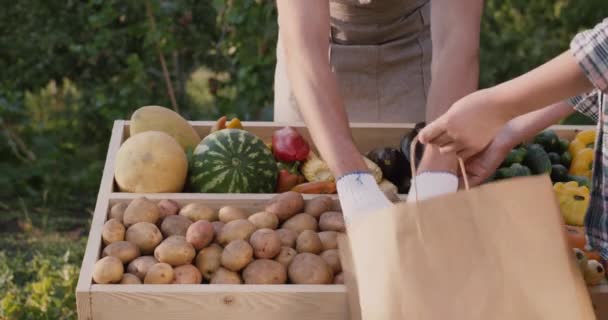Жінка купує овочі на ринку фермерів — стокове відео