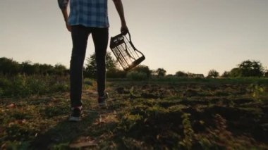 A farmer with a box in his hand walks across the field. Harvesting