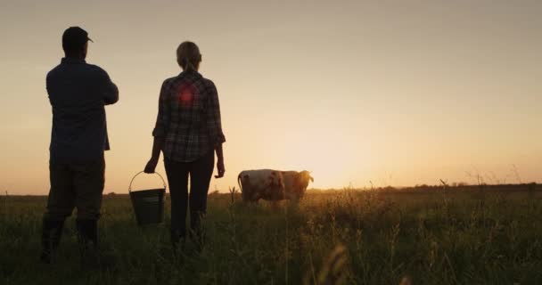 Two farmers admire their cow grazing in a meadow at sunset — Vídeo de Stock