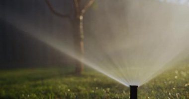 A stream of water under pressure irrigates the green . Slow motion 4k video