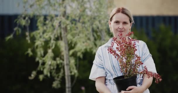 Жінка середнього віку тримає горщик барбарису. Озеленення вашого будинку, робота в саду — стокове відео