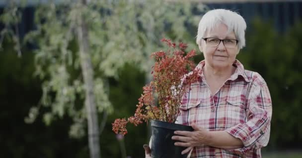 Retrato de una anciana mujer activa, sosteniendo una olla de zarzamora en sus manos, trabajando en su jardín — Vídeo de stock