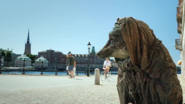 Stockholm, Zweden, juli 2018: Sculptuur van een dakloze vos in het centrum van Stockholm. — Stockvideo