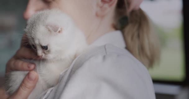 Wanita memegang kucing lucu di bahunya — Stok Video