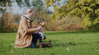 Parkta Asyalı bir bebeği olan bir anne oynuyor.