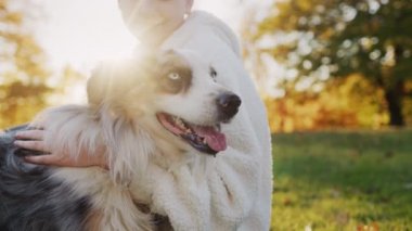 On yaşında bir kız köpeği ile bir parkta dinleniyor. Batan güneşin ışınlarında yeşil çimenlerin üzerinde otur.