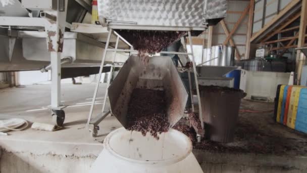 ワインの製造のための原料は シュートを通して大きな樽に供給される 小さな家族経営のワイナリーで働く — ストック動画