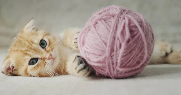 Un mignon chaton roux se trouve près d'une boule de fil — Photo