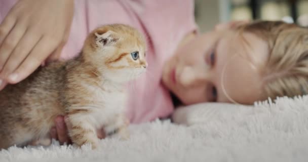A criança brinca com um gatinho de gengibre, encontra-se no chão ao lado do animal de estimação — Vídeo de Stock